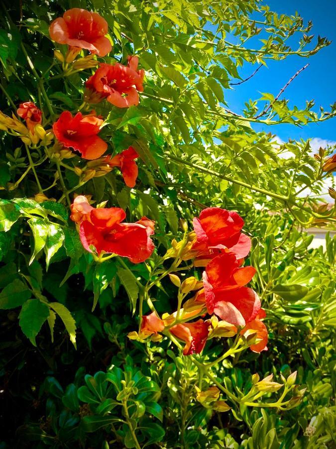 Villa Hylas Luxury Bed & Breakfast Kilada エクステリア 写真